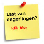 Engerlingen bestrijding